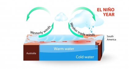 The El Niño